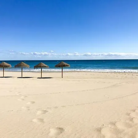Hipocampos 2* Calpe